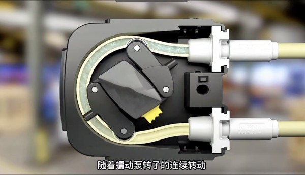 蠕動(dòng)泵工作原理